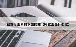石家庄寂寞行走素材下载网站（寂寞走是什么歌）