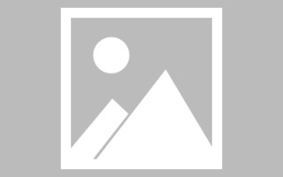 石家庄广州专业搭建网站平台（广州网站建设方案开发）